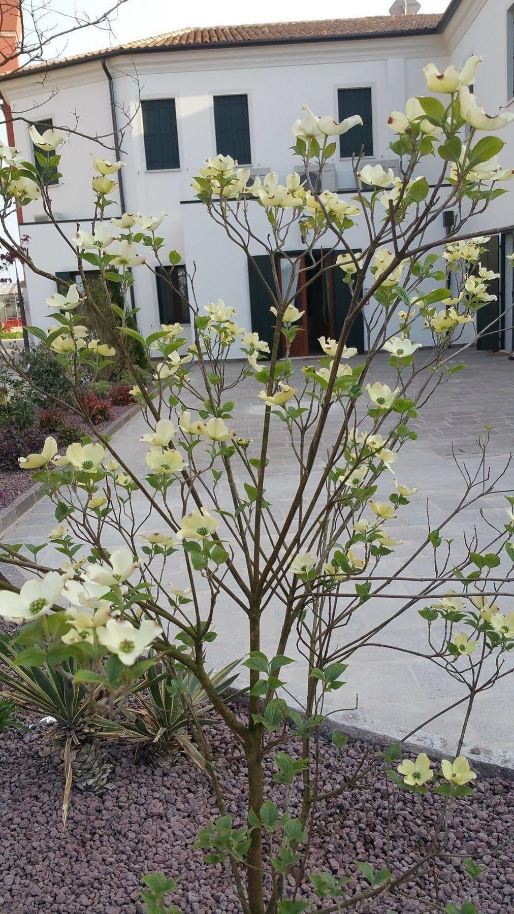 Hotel Alla Villa Fini Dolo Kültér fotó